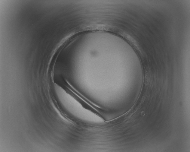 X0000082160674200702092218