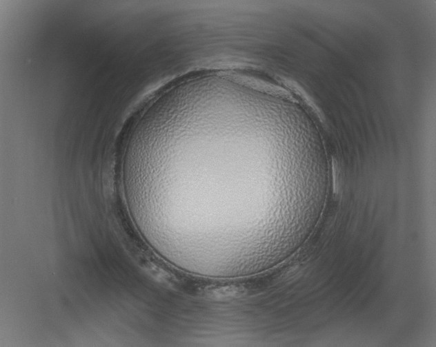 X0000082160675200702092218