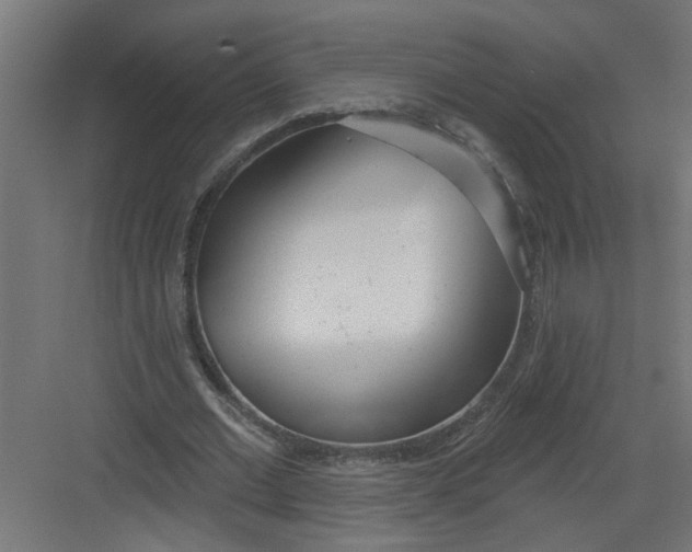 X0000082160677200702092218