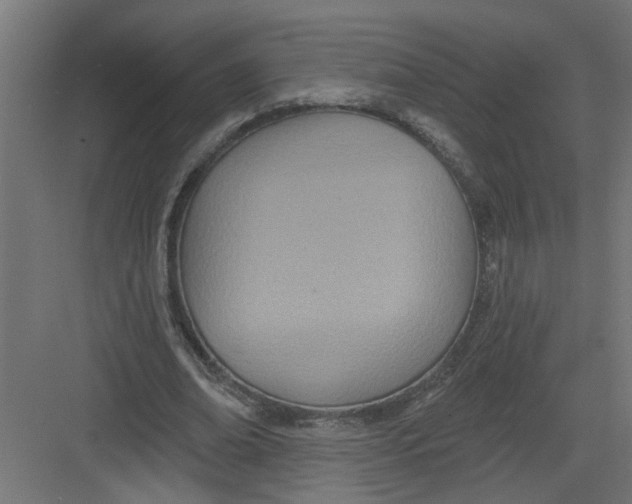 X0000082160678200702092218