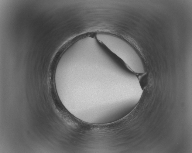 X0000082160680200702092218