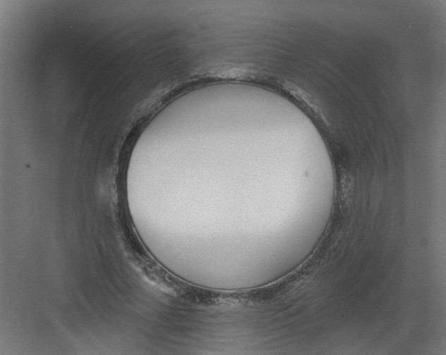 X0000082160682200702092218