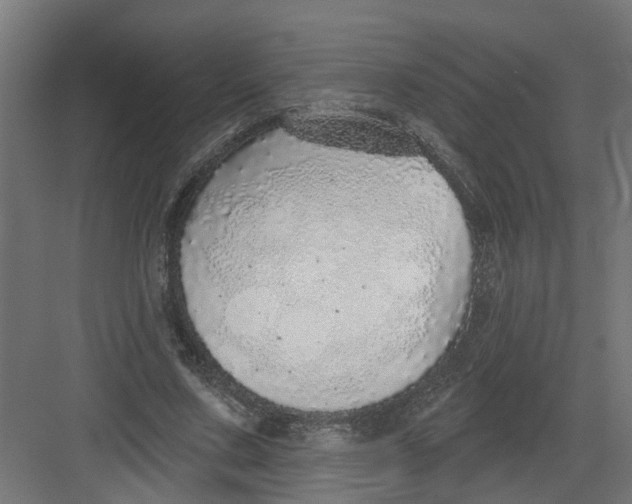 X0000082160683200702092218