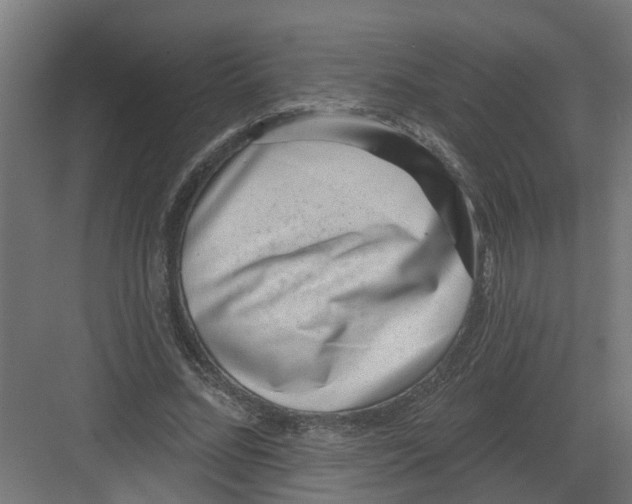 X0000082160684200702092218