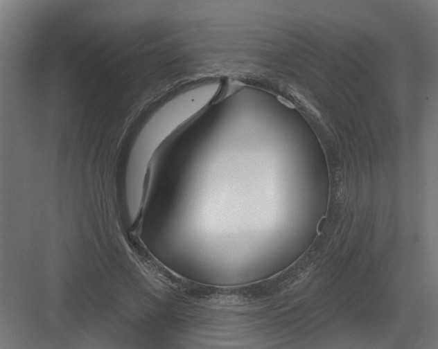 X0000082160685200702092218