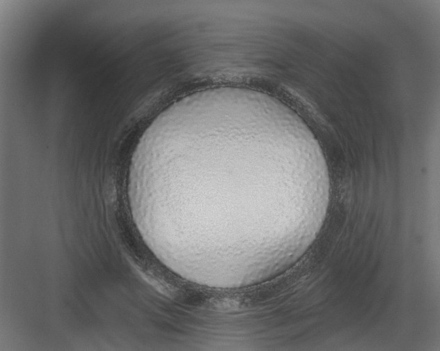 X0000082160687200702092218