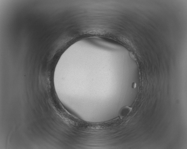 X0000082160688200702092218