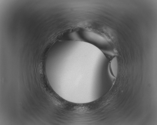 X0000082160689200702092218