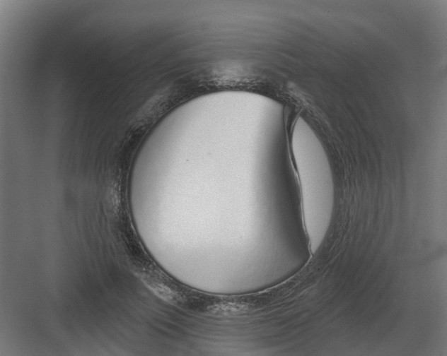 X0000082160691200702092218