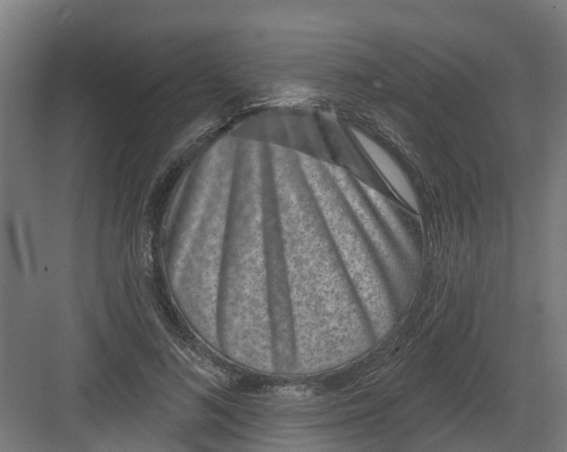 X0000082160692200702092218