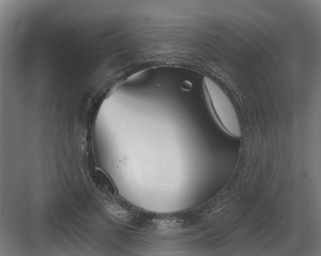 X0000082160693200702092218