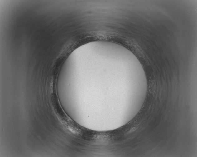 X0000082160694200702092218