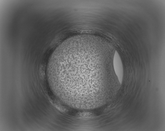 X0000082160695200702092218