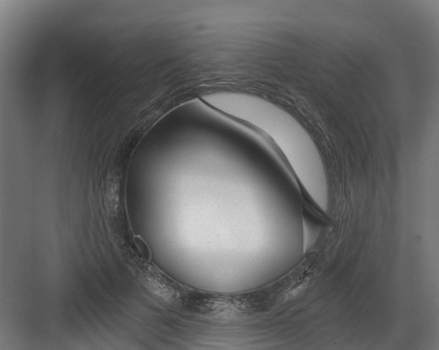 X0000082160697200702092218