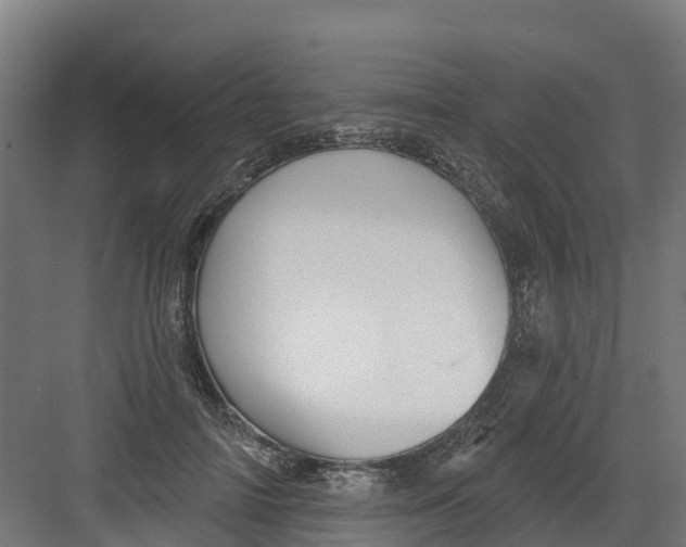 X0000082160698200702092218