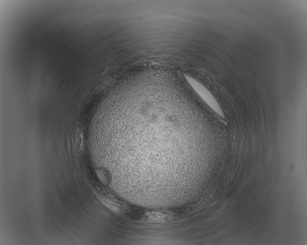 X0000082160703200702092218