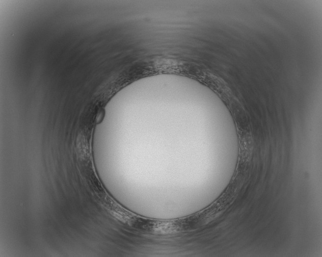 X0000082160705200702092218