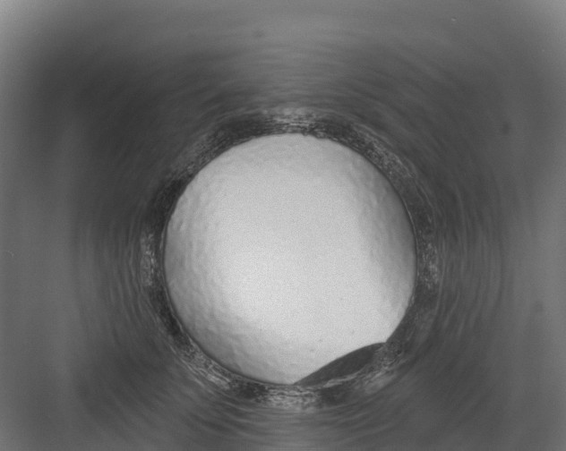 X0000082160707200702092218