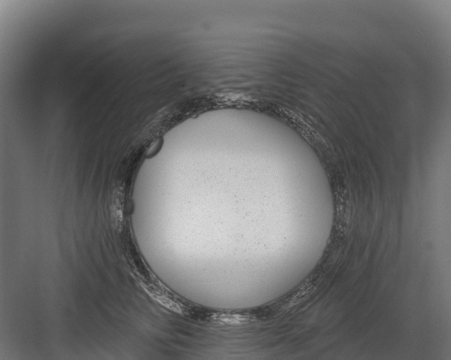 X0000082160710200702092218