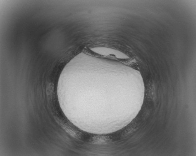 X0000082160711200702092218