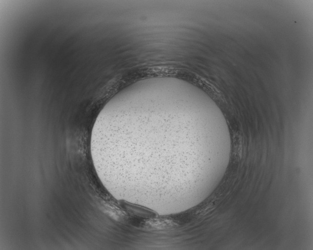 X0000082160712200702092218