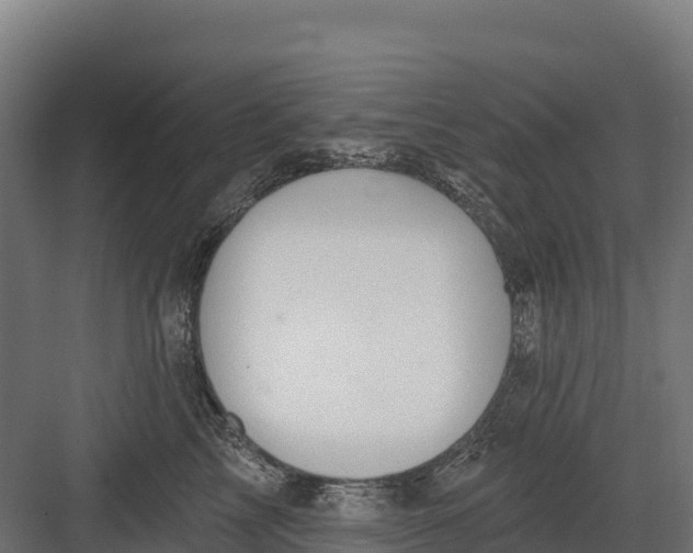 X0000082160713200702092218