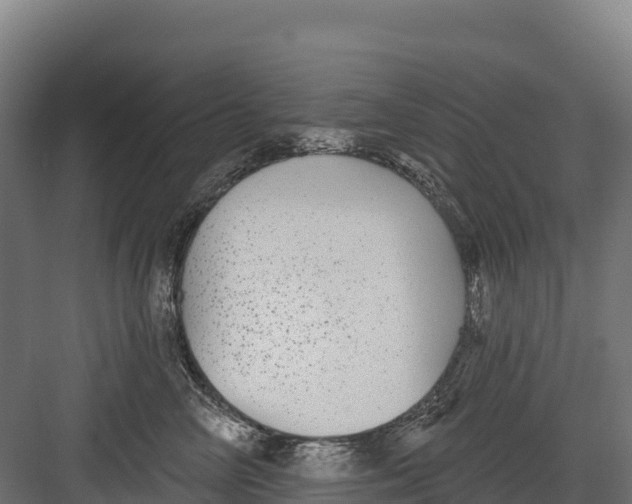 X0000082160714200702092218