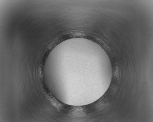 X0000082160715200702092218