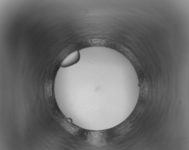 X0000082160717200702092218