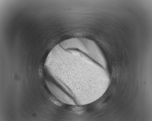 X0000082160718200702092217