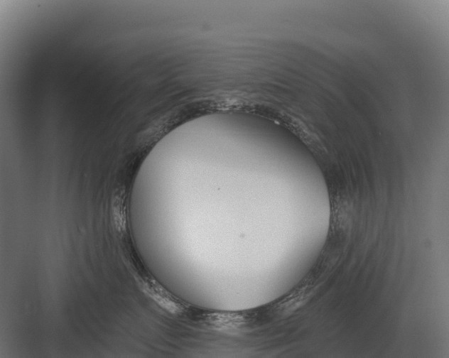 X0000082160719200702092217