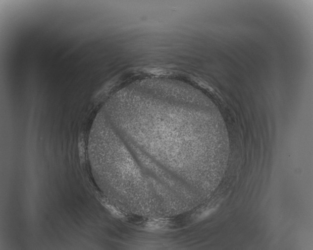 X0000082160720200702092217