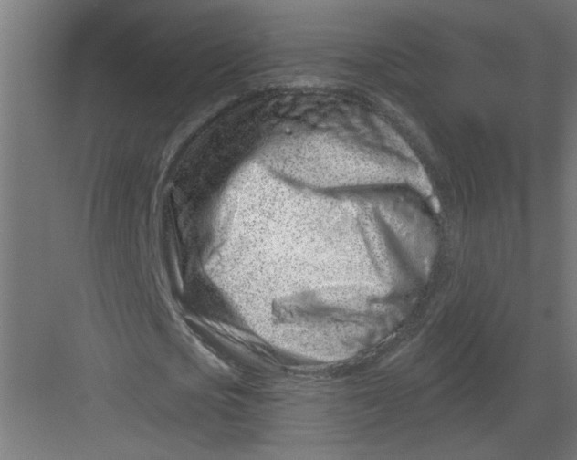 X0000082160721200702092217