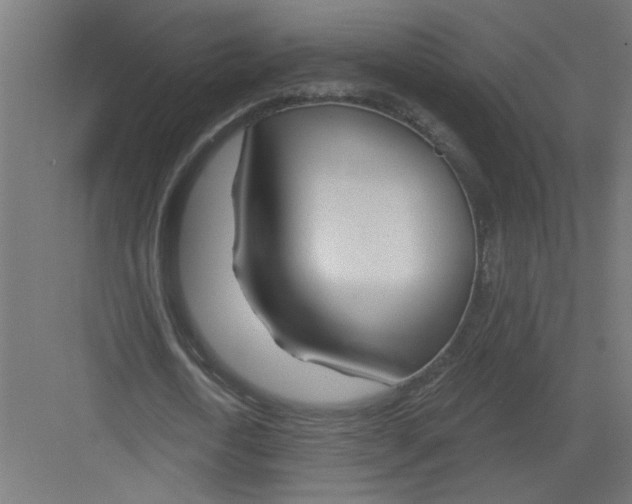 X0000082160722200702092217