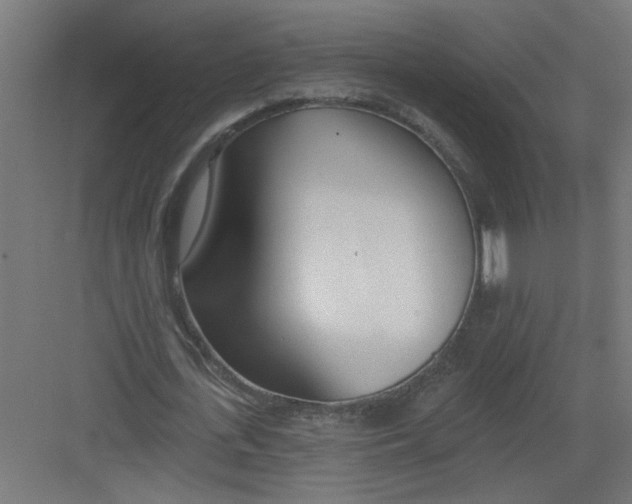 X0000082160723200702092217