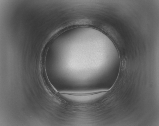 X0000082160724200702092217