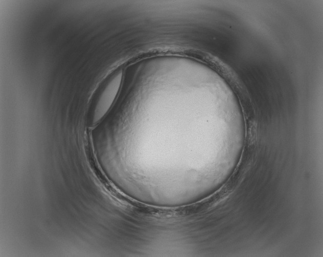 X0000082160725200702092217