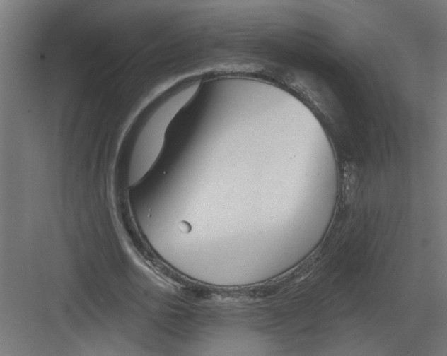 X0000082160726200702092217