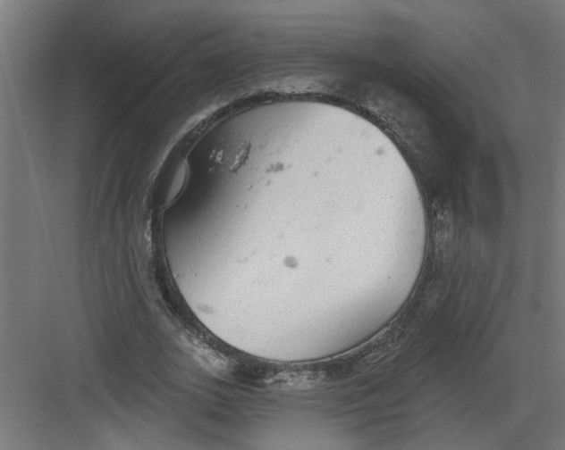 X0000082160727200702092217