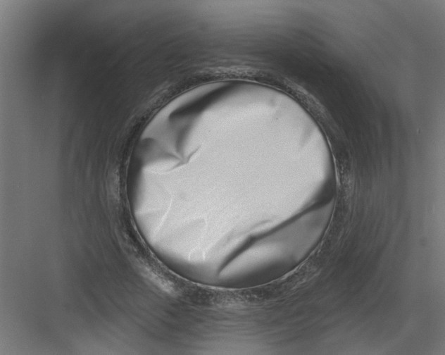 X0000082160729200702092217