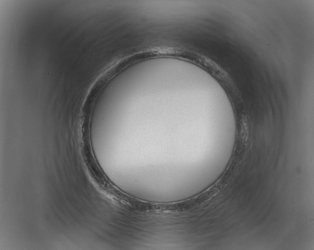 X0000082160730200702092217