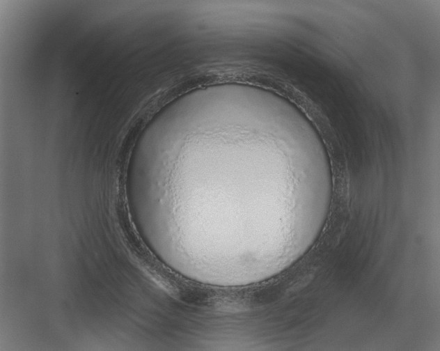 X0000082160733200702092217