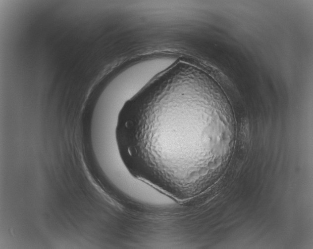 X0000082160734200702092217