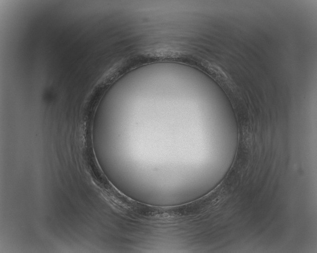 X0000082160735200702092217