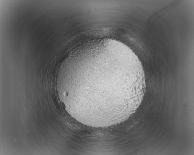 X0000082160737200702092217