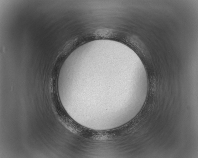 X0000082160738200702092217