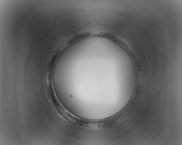 X0000082160740200702092217