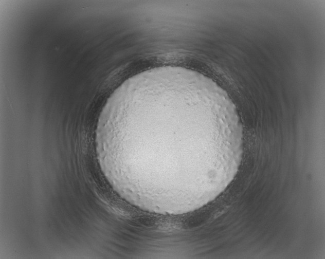 X0000082160741200702092217