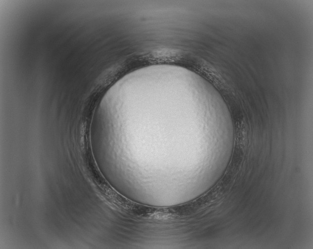 X0000082160742200702092217