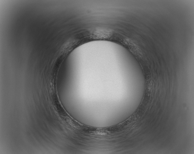 X0000082160743200702092217